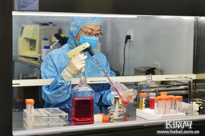 河北 '去'出發展新空間 '轉'來發展新動能——生物技術開發引領新時代高質量發展