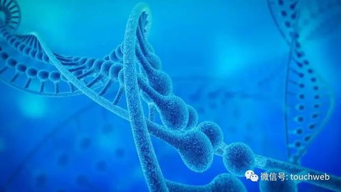 加立生物沖刺港股 9個(gè)月虧損4433萬，林帝邦為大股東，生物技術(shù)開發(fā)成焦點(diǎn)